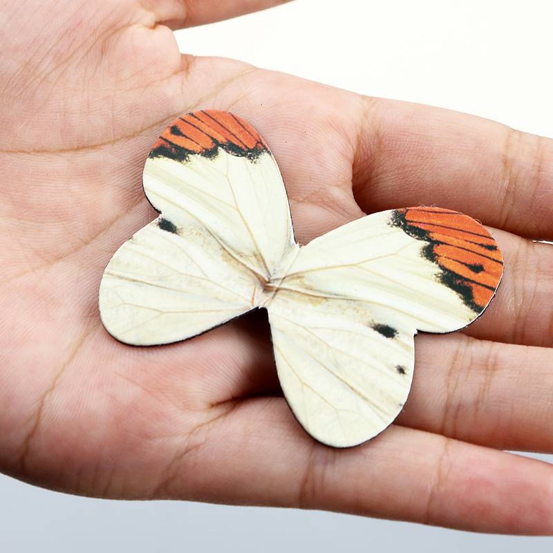 Lot de 4 beaux signets magnéti - Bookmark Magnetic Clip avis et prix